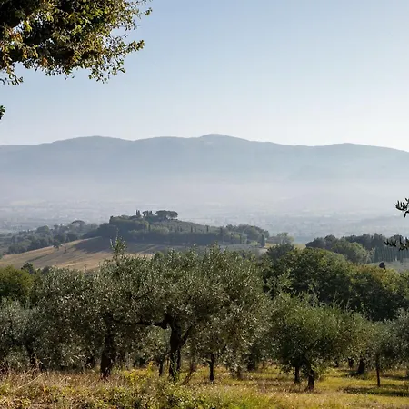 A Spoleto. *